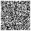 QR code with Publicate Internet contacts