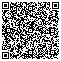 QR code with Newvue contacts