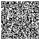QR code with Profit Cents contacts