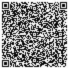 QR code with Blue Storm Media contacts