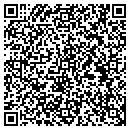 QR code with Pti Group Inc contacts