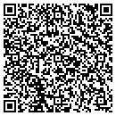 QR code with Psychic Corner contacts