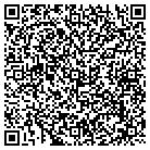 QR code with Blue Park Group LLC contacts