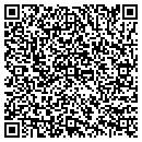 QR code with Cozumel Mexican Grill contacts