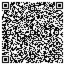 QR code with Chelatna Lake Lodge contacts