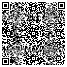 QR code with Blarney Stone Consulting LLC contacts