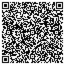QR code with Pts Services contacts