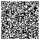 QR code with Crown Pawn LLC contacts