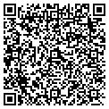 QR code with Idg Holdings LLC contacts