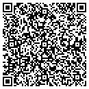QR code with Professional Designs contacts