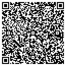 QR code with Pyramid Audio/Video contacts