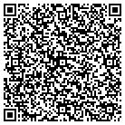 QR code with Pulaski Club the Count contacts