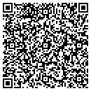 QR code with Pulse Night Club Inc contacts