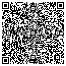 QR code with Cg Flash & Assoc Inc contacts