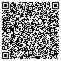 QR code with Vng Inc contacts