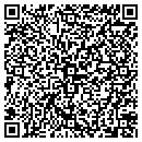 QR code with Public Service Taxi contacts