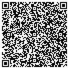 QR code with Public Safety Institute contacts
