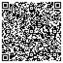 QR code with Premier Dancewear contacts