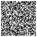 QR code with Puerto Nica Cafeteria contacts