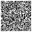 QR code with Puzzle Place contacts