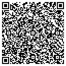 QR code with Color Connection Inc contacts