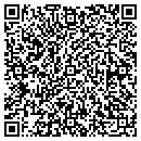 QR code with Pzazz Too The Hot Spot contacts