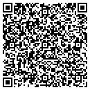 QR code with Clementi Roofing Inc contacts