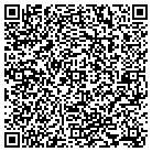 QR code with Babarosa's Gourmet Inc contacts