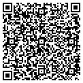 QR code with Ibfn contacts