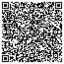QR code with Carrie's Interiors contacts