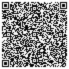 QR code with Big Kids Cd's & Games Inc contacts