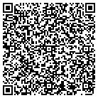 QR code with Pulse Realty & Investment contacts