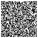 QR code with Cybervision Corp contacts