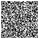 QR code with Priceless Creations contacts