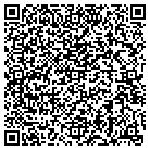 QR code with Pulmonary Medician PA contacts