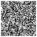 QR code with Cynthia G King Inc contacts