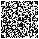 QR code with Biz Investments Inc contacts