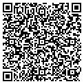 QR code with Yogani contacts