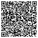QR code with McGill contacts