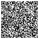 QR code with Blue Dolphin Designs contacts