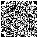QR code with Carbone Electric Inc contacts