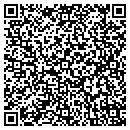 QR code with Caring Concepts Inc contacts