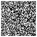 QR code with Cyclone Systems Inc contacts