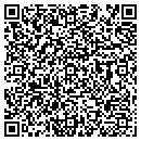 QR code with Cryer Co Inc contacts