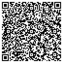 QR code with Cedar Key Realty Inc contacts