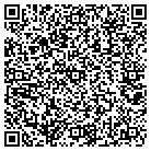 QR code with Blue Dolphin Studios Inc contacts