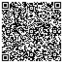 QR code with Pulse One Financial contacts