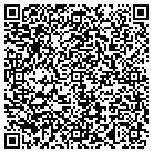 QR code with Balsinger's Lawn Care Inc contacts