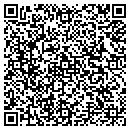QR code with Carl's Delivery Inc contacts