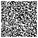 QR code with Blue Chameleon Ventures contacts